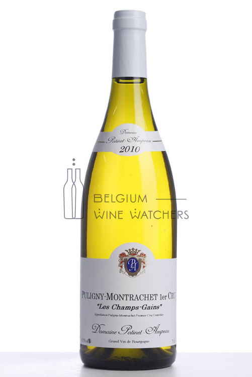 Afbeeldingen van 2010 PULIGNY MONTRACHET LES CHAMPS GAINS